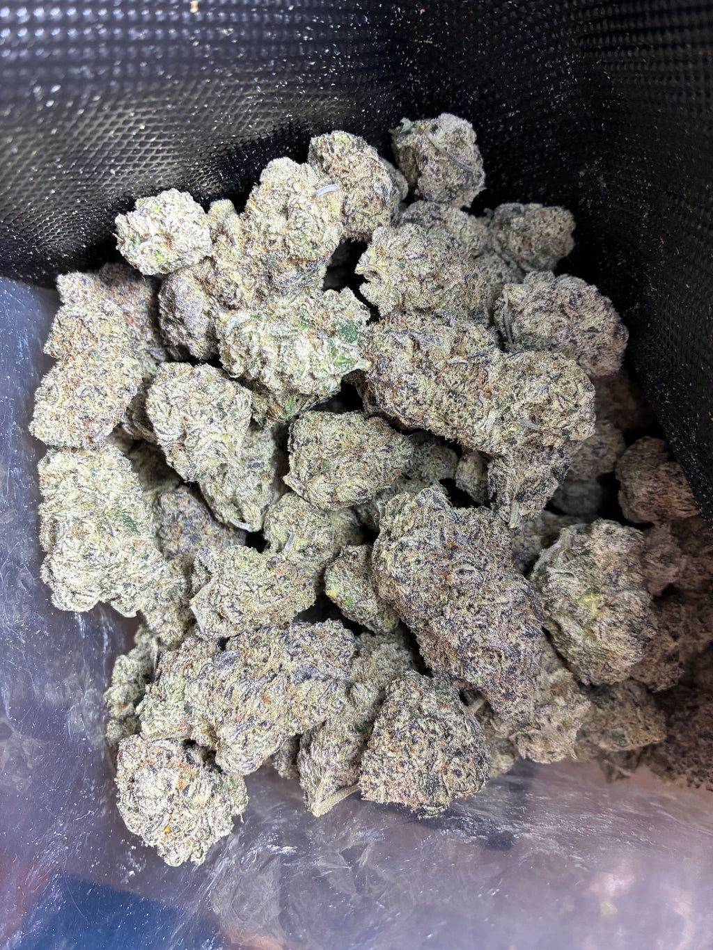 Grape pie