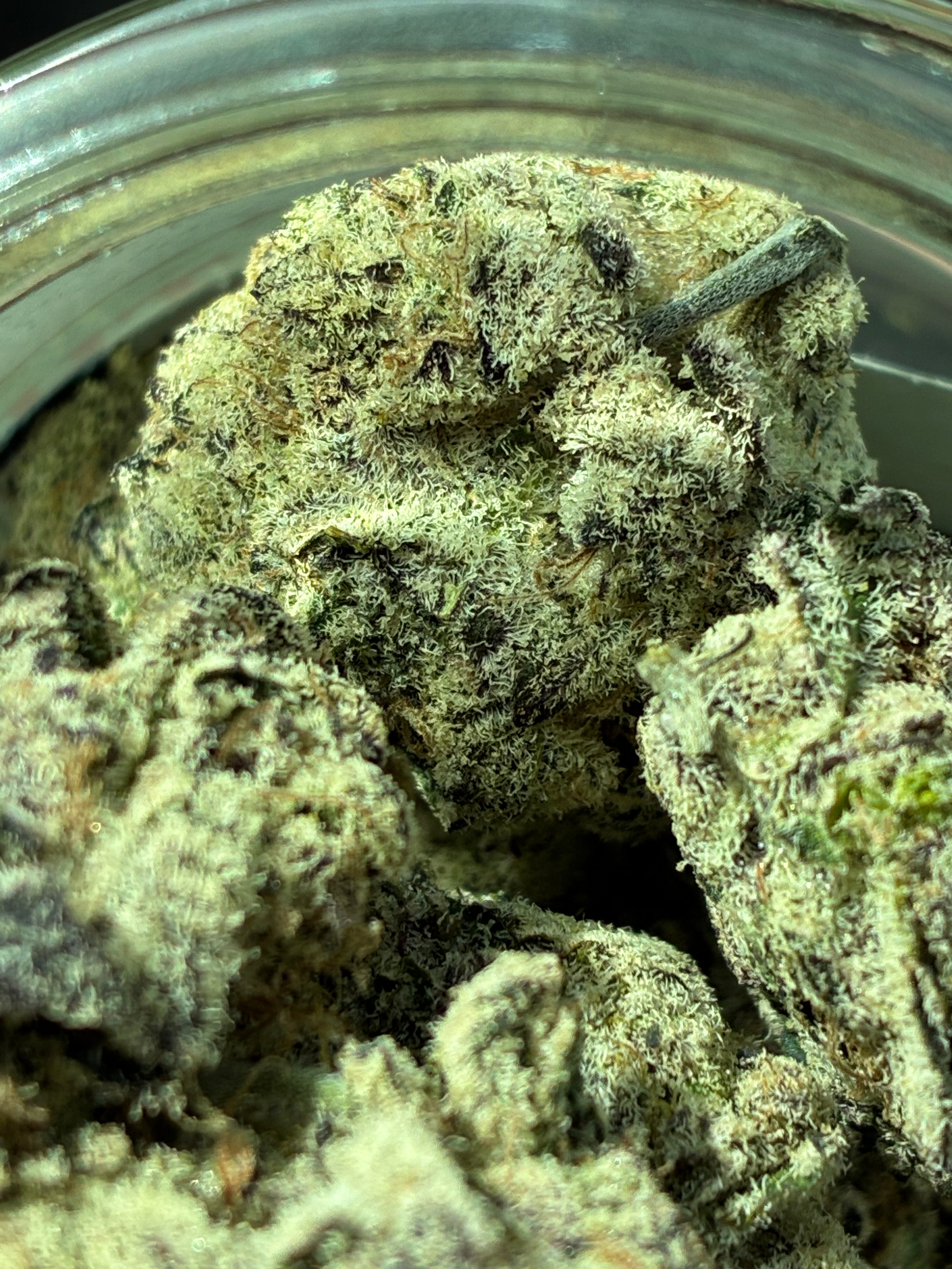 Grape pie