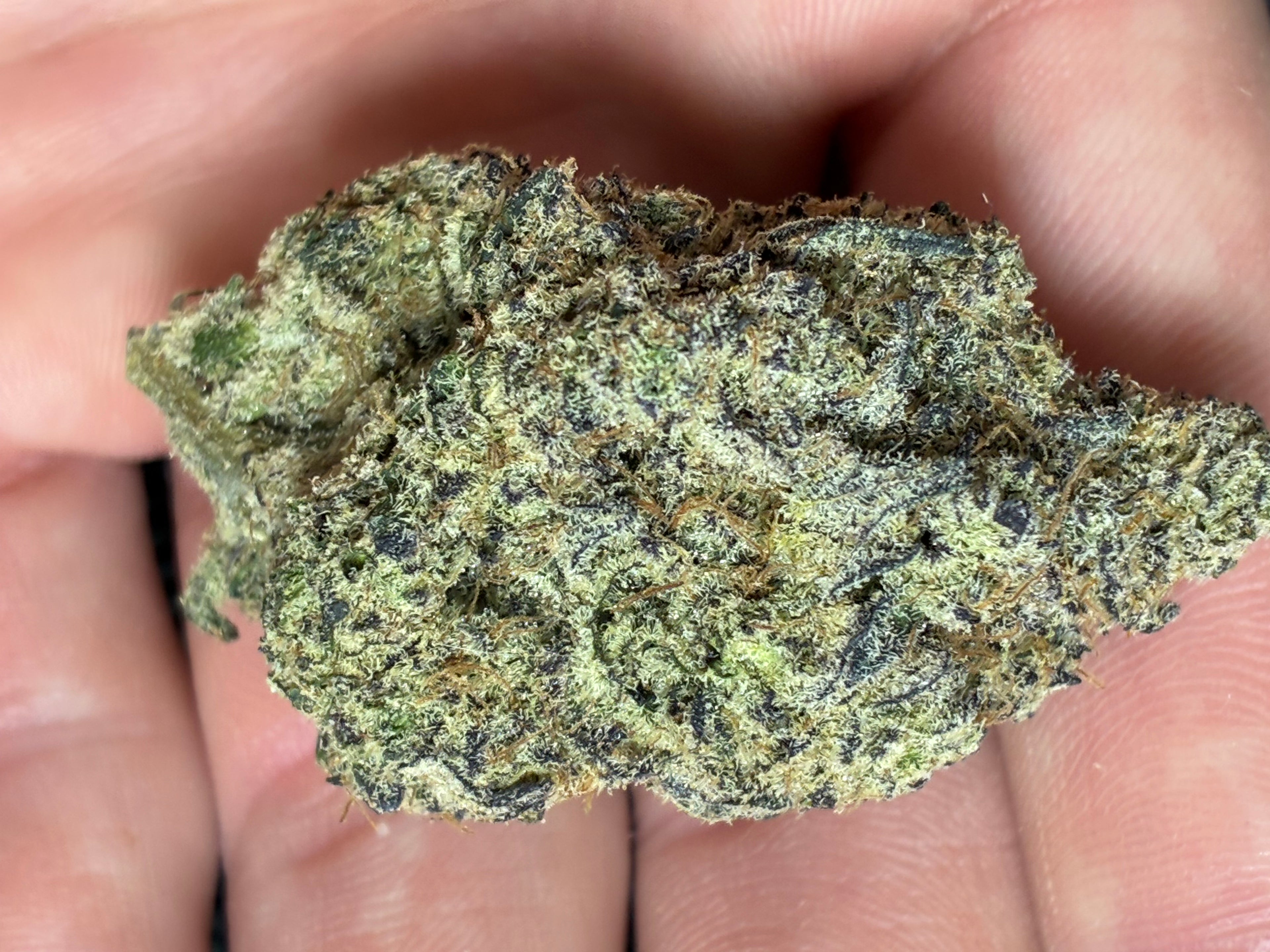 Grape pie