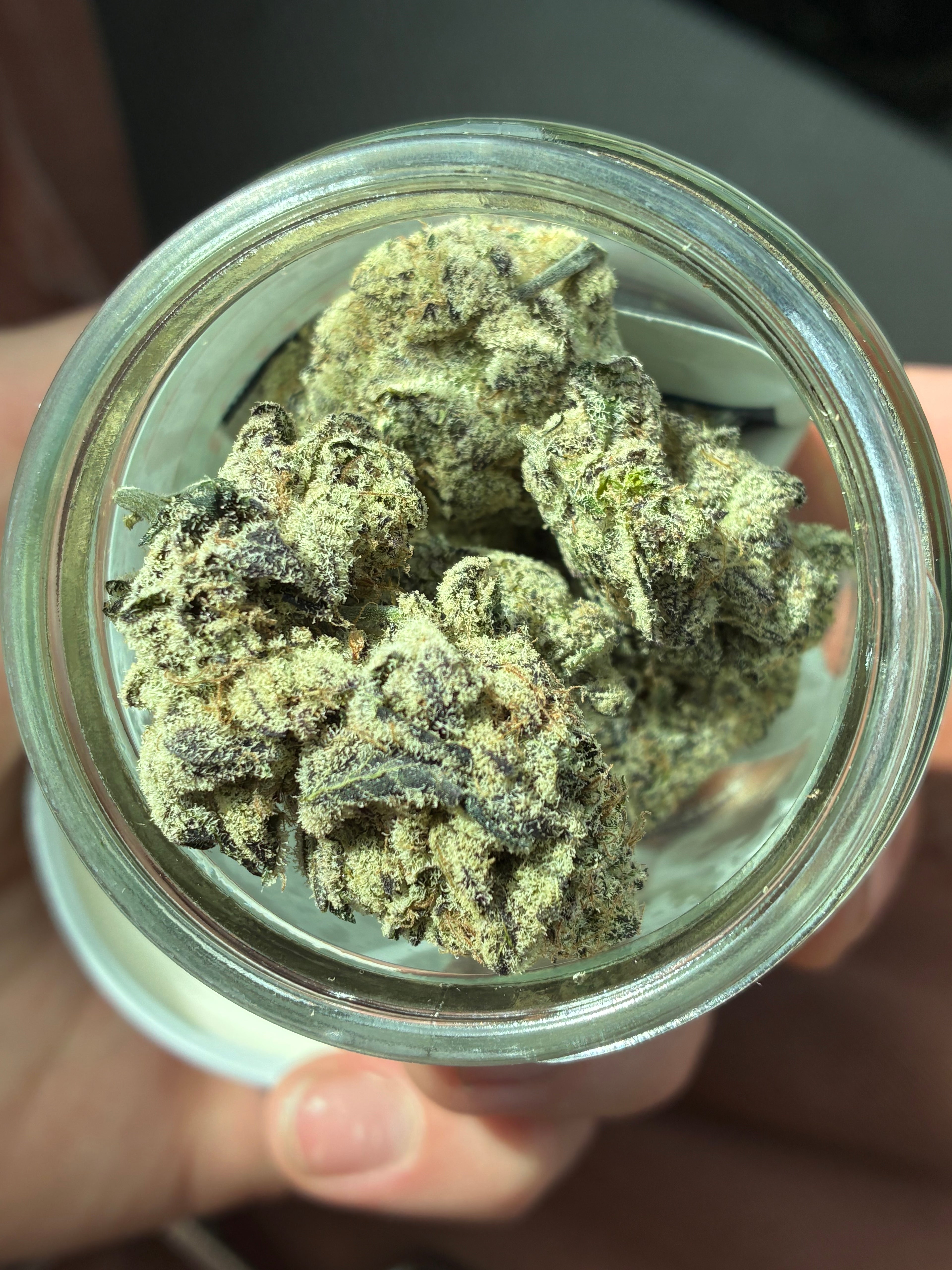 Grape pie
