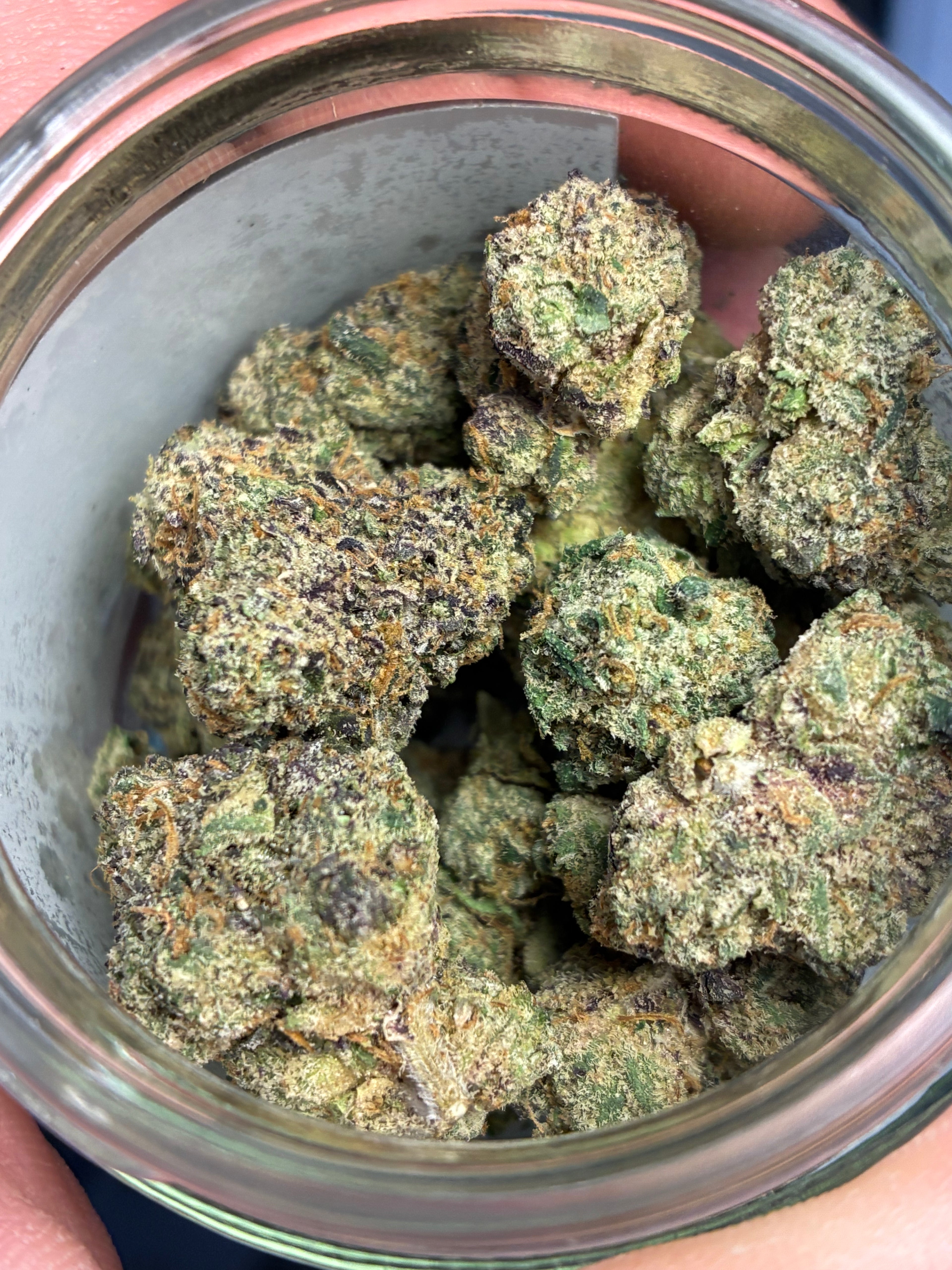 crystal gelato