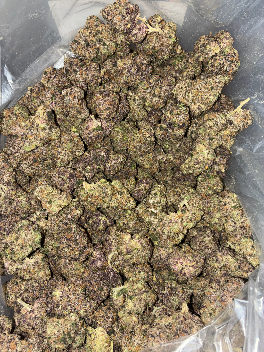 Sunset Sherbert