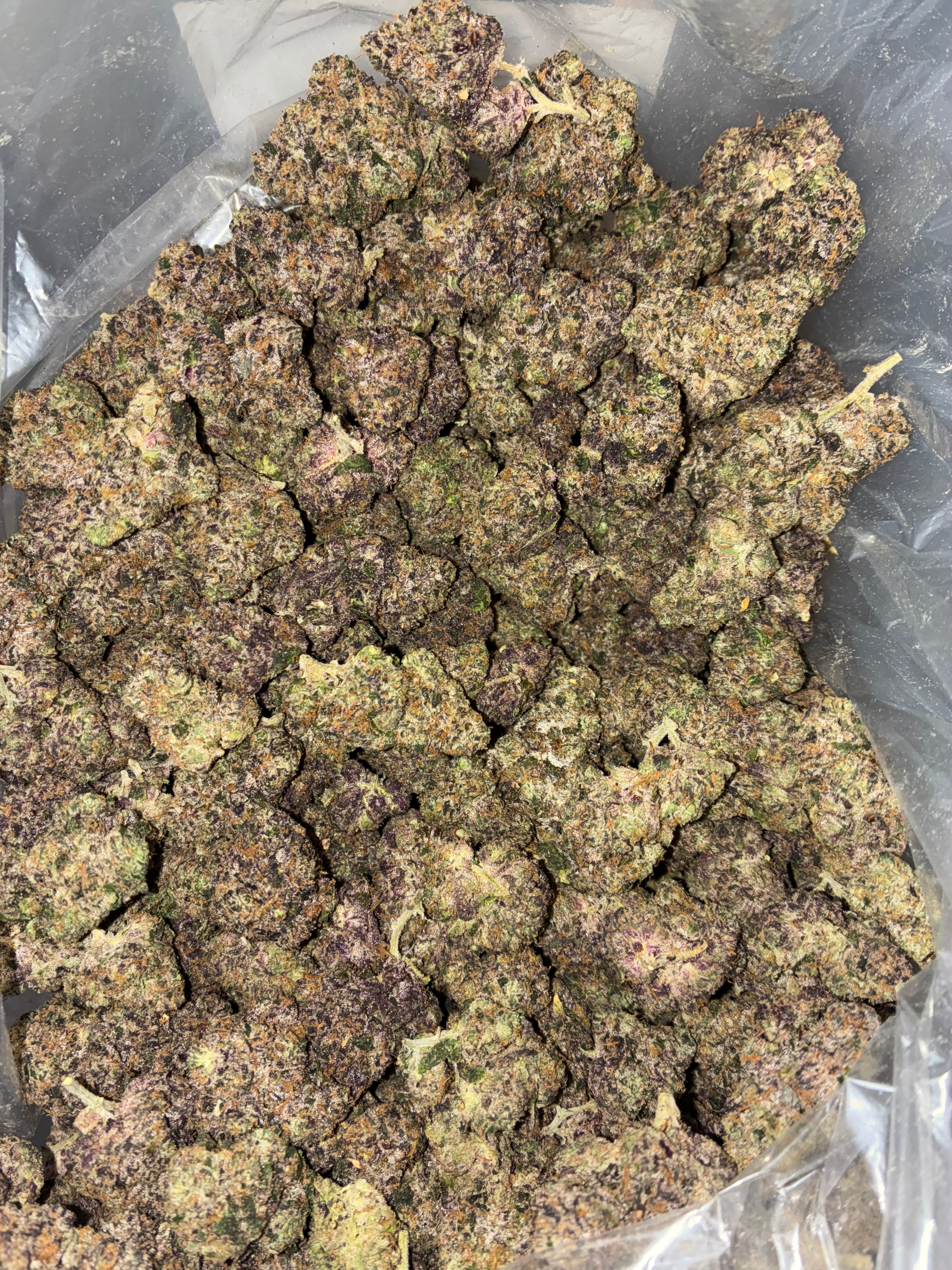 Sunset Sherbert
