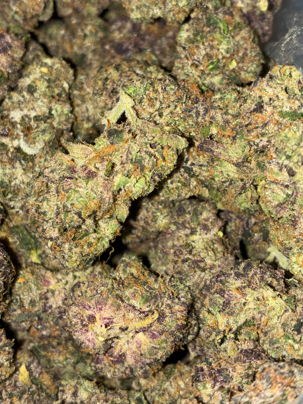 Sunset Sherbert