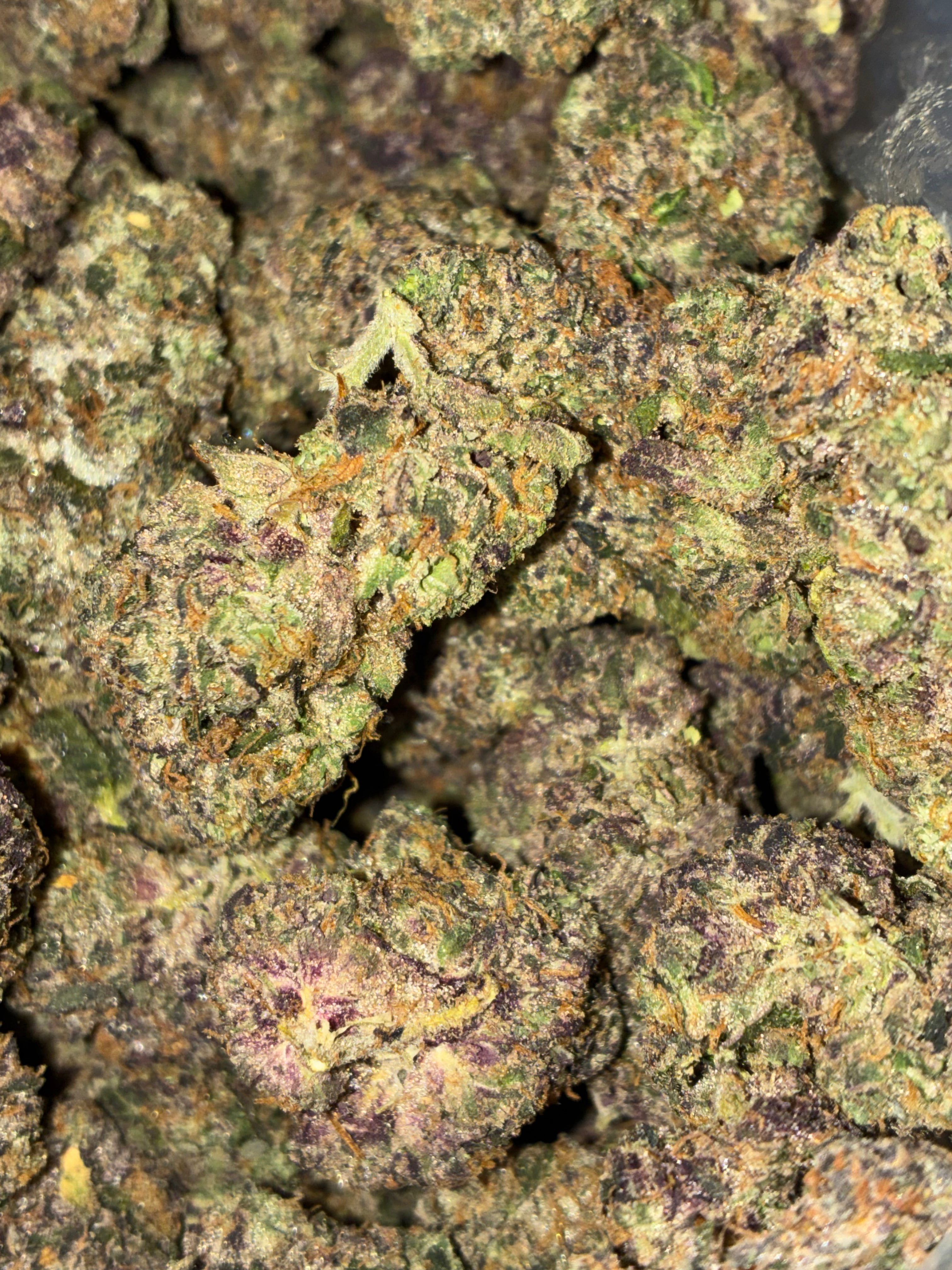 Sunset Sherbert