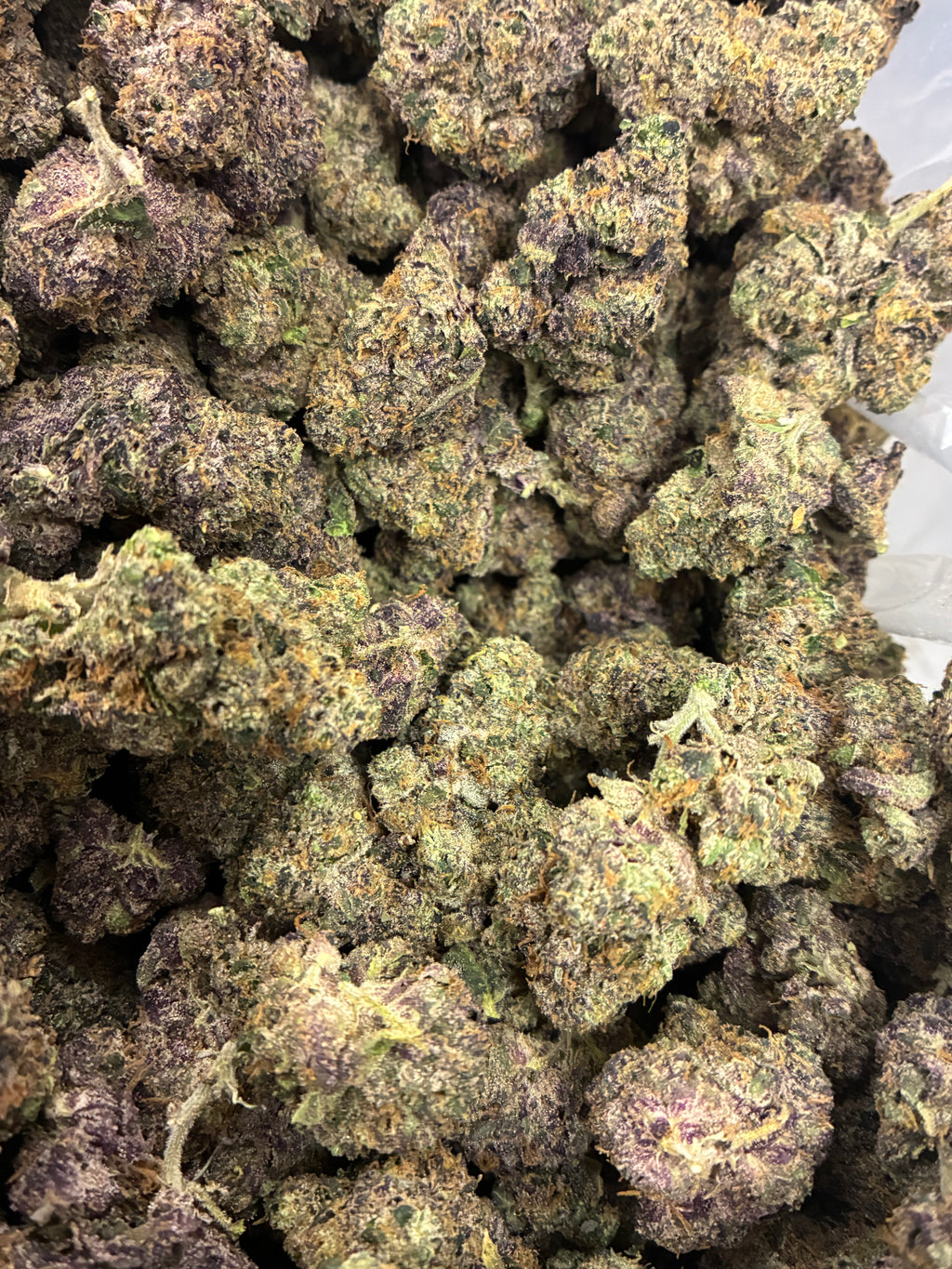 Sunset Sherbert