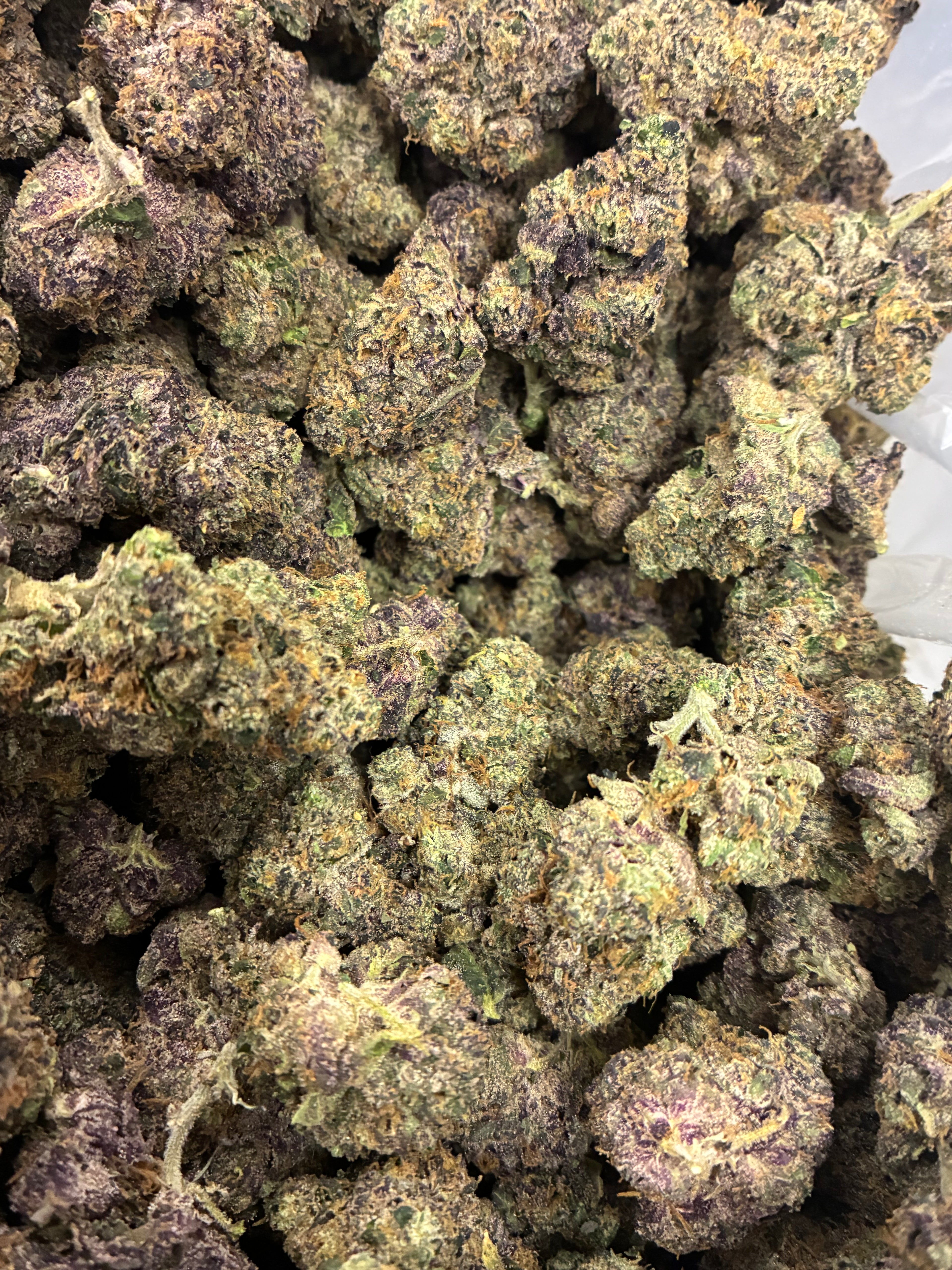 Sunset Sherbert