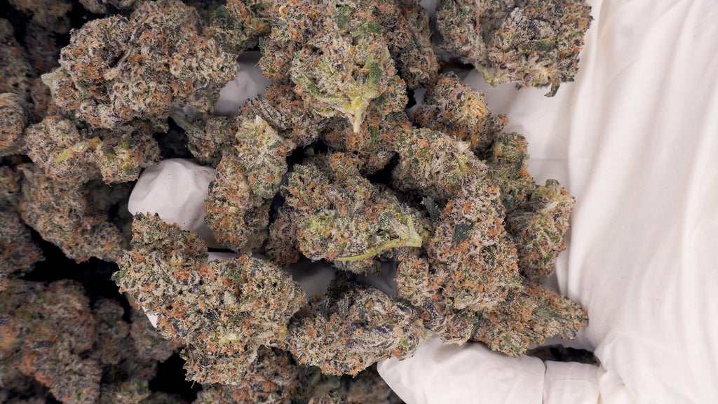 PURE MICHIGAN( NEW BATCH)