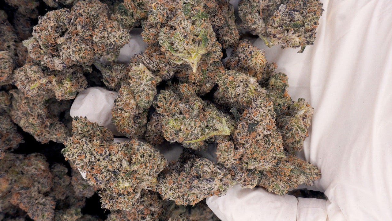 PURE MICHIGAN( NEW BATCH)