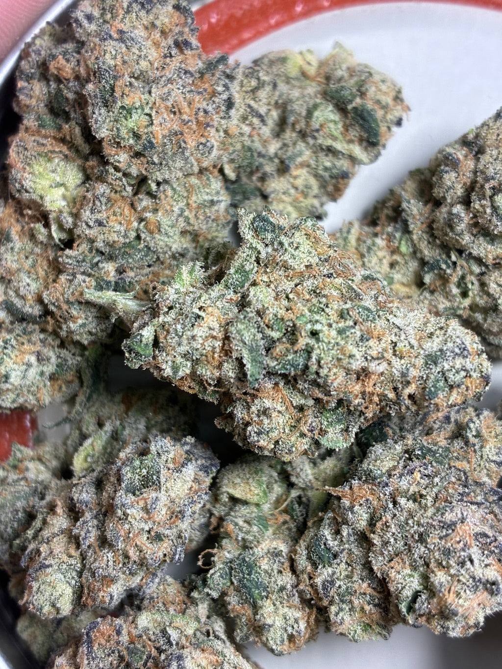 LA KUSH POP( NEW BATCH)