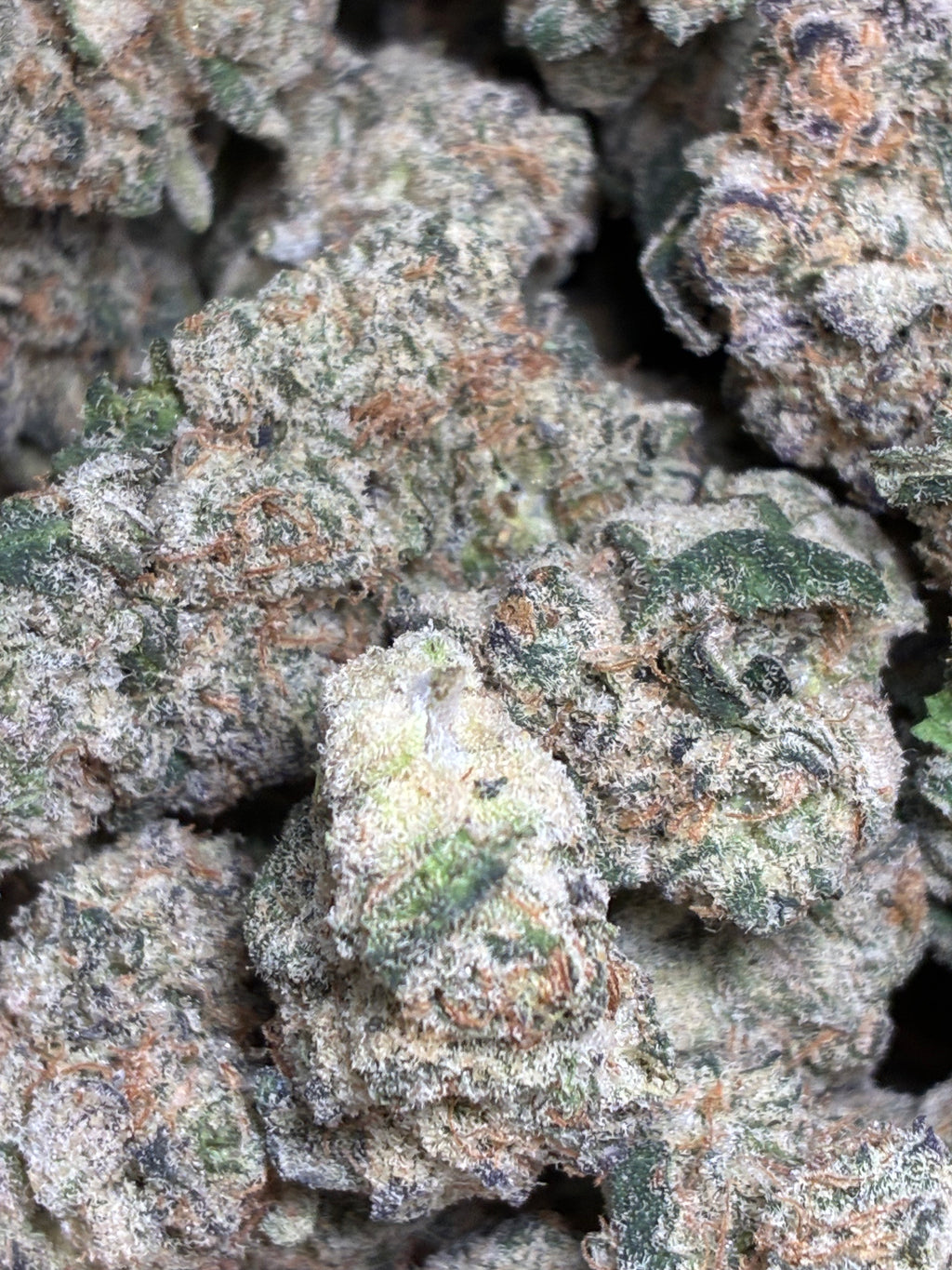 LA KUSH POP( NEW BATCH)