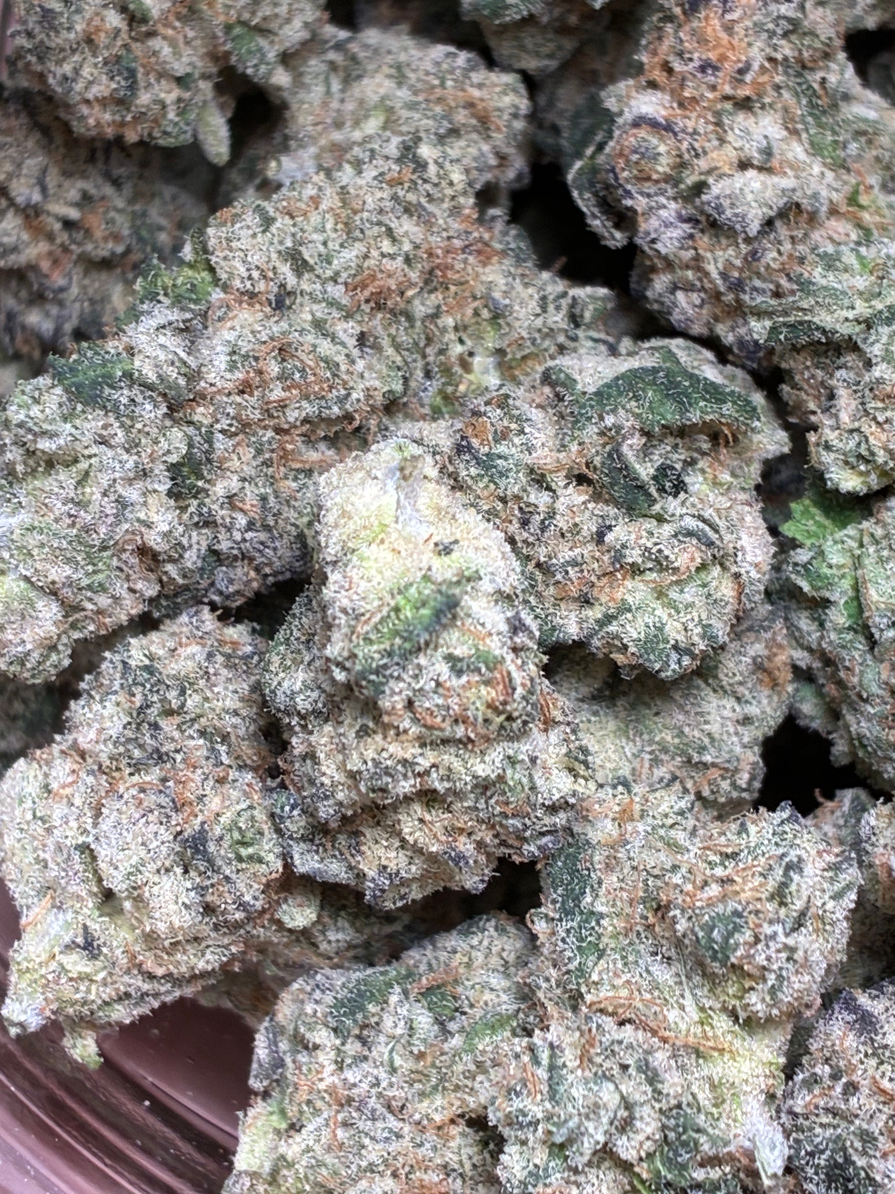 LA KUSH POP( NEW BATCH)